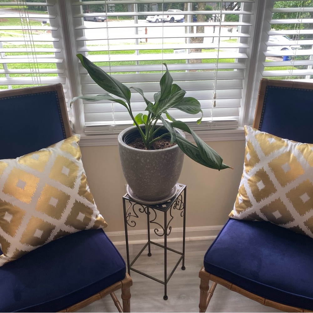 Gold and White decorative pillow set of 2